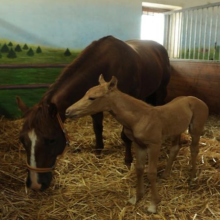 فندق Milovice في  Ranc Milovice المظهر الخارجي الصورة